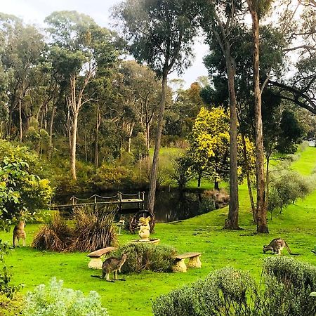 Countryside Retreat Romantic Tranquil Native Wildlife Township Hepburn - Daylesford 햅번스프링스 외부 사진