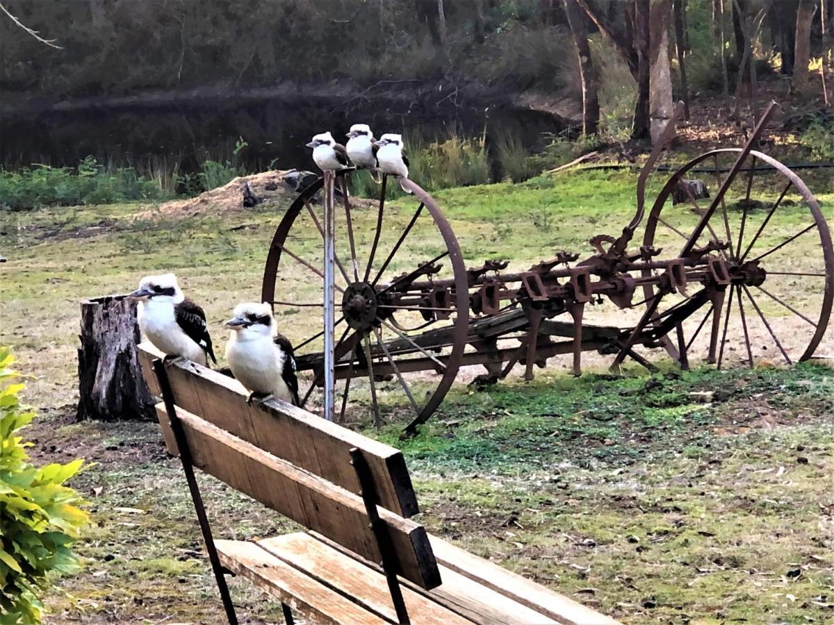 Countryside Retreat Romantic Tranquil Native Wildlife Township Hepburn - Daylesford 햅번스프링스 외부 사진