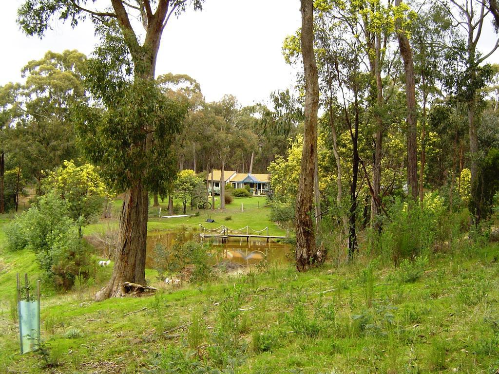 Countryside Retreat Romantic Tranquil Native Wildlife Township Hepburn - Daylesford 햅번스프링스 객실 사진