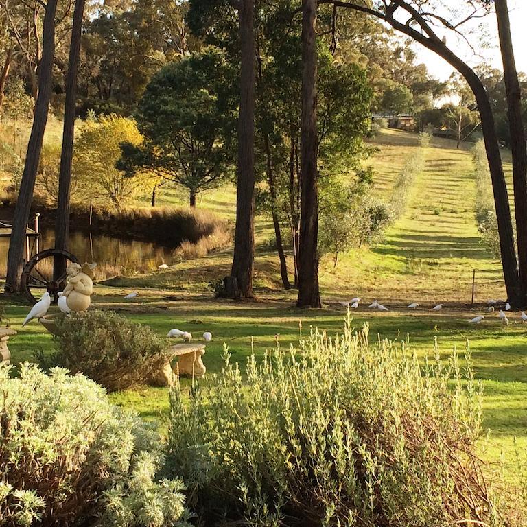 Countryside Retreat Romantic Tranquil Native Wildlife Township Hepburn - Daylesford 햅번스프링스 외부 사진