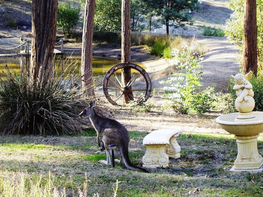 Countryside Retreat Romantic Tranquil Native Wildlife Township Hepburn - Daylesford 햅번스프링스 외부 사진