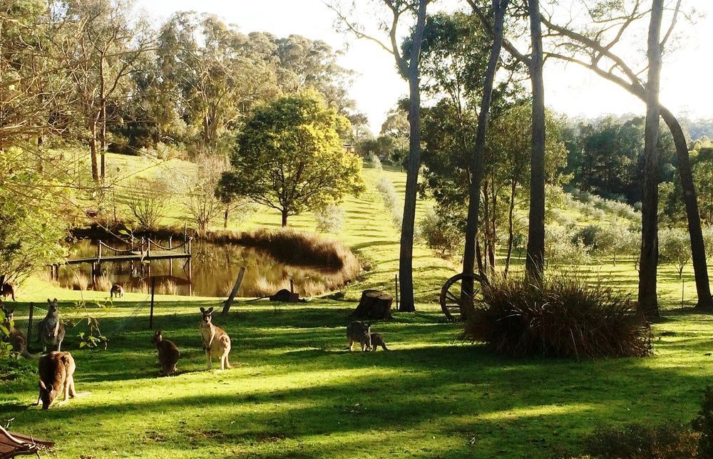 Countryside Retreat Romantic Tranquil Native Wildlife Township Hepburn - Daylesford 햅번스프링스 외부 사진