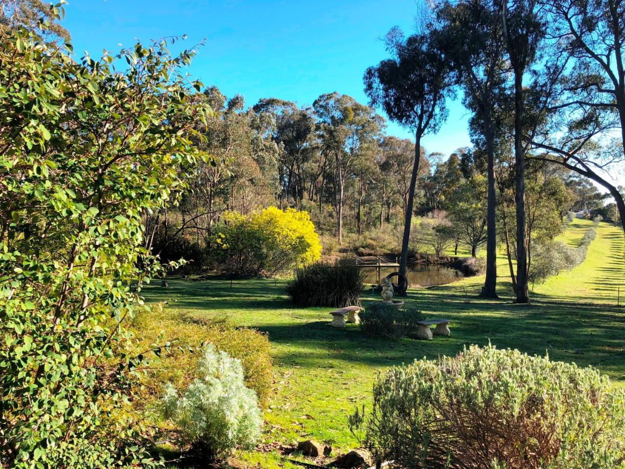 Countryside Retreat Romantic Tranquil Native Wildlife Township Hepburn - Daylesford 햅번스프링스 외부 사진