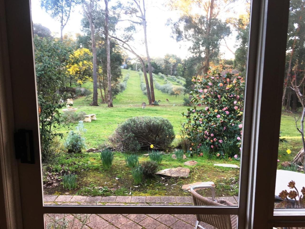 Countryside Retreat Romantic Tranquil Native Wildlife Township Hepburn - Daylesford 햅번스프링스 외부 사진