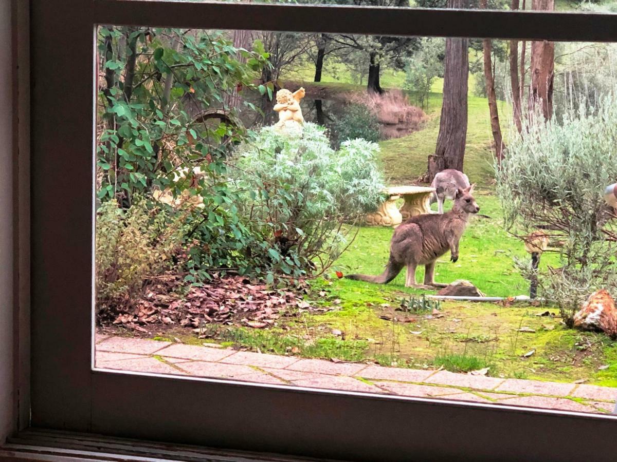 Countryside Retreat Romantic Tranquil Native Wildlife Township Hepburn - Daylesford 햅번스프링스 외부 사진