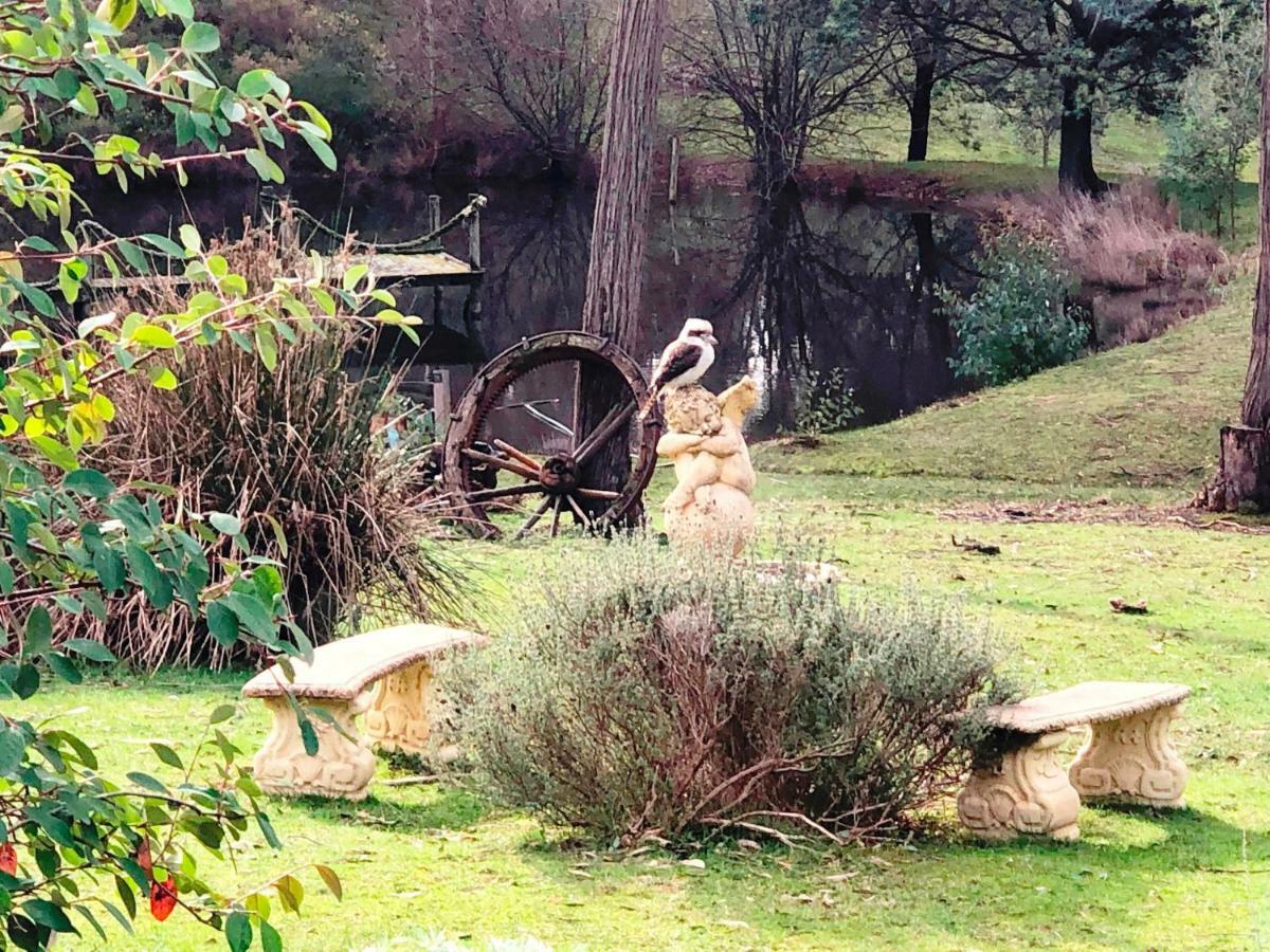 Countryside Retreat Romantic Tranquil Native Wildlife Township Hepburn - Daylesford 햅번스프링스 외부 사진