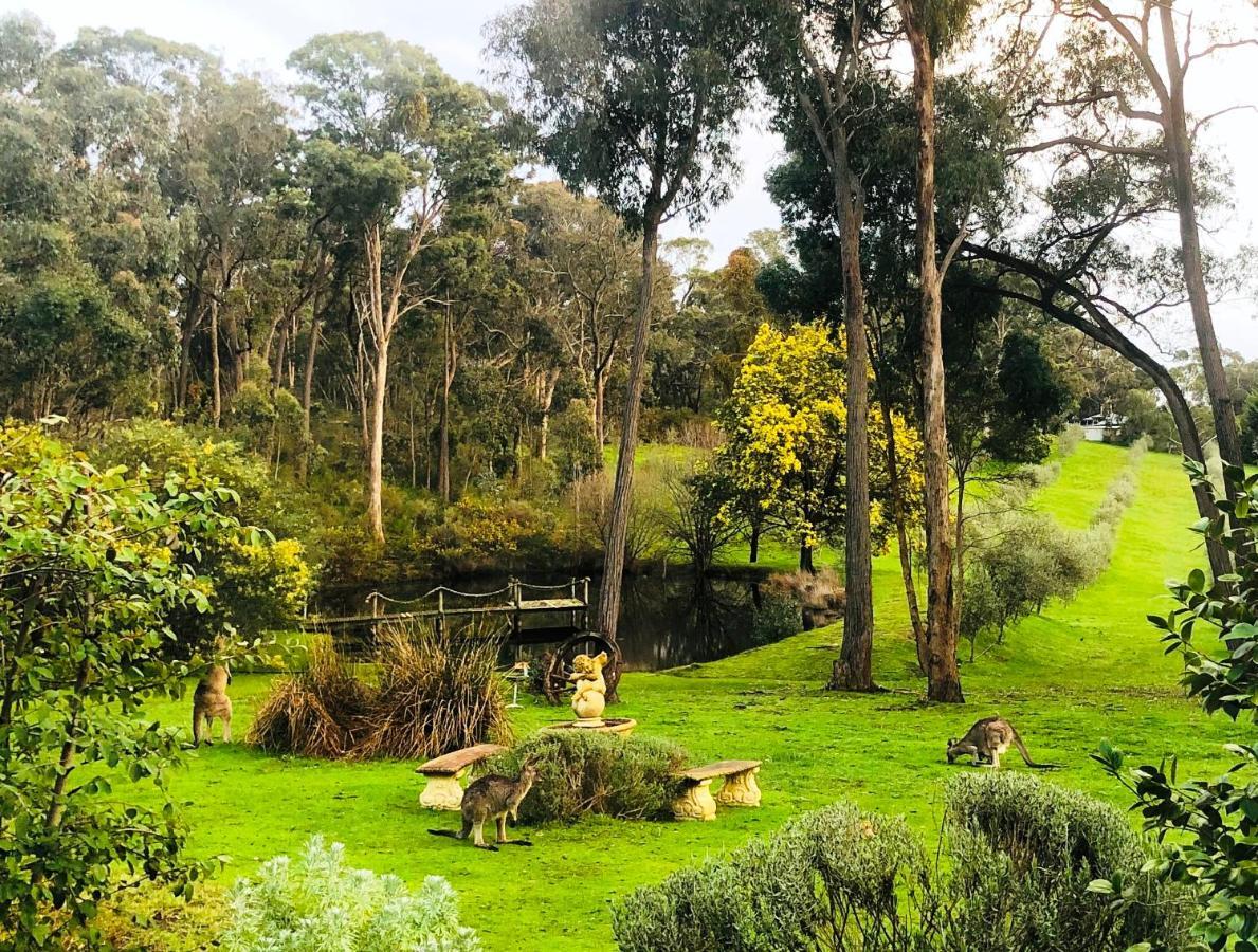 Countryside Retreat Romantic Tranquil Native Wildlife Township Hepburn - Daylesford 햅번스프링스 외부 사진